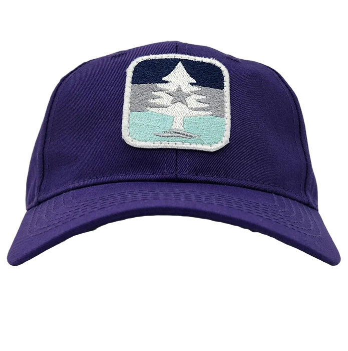Youth Ocean Stripe 5 Twill Hat SHOP ROGUE WEAR Hats Purple