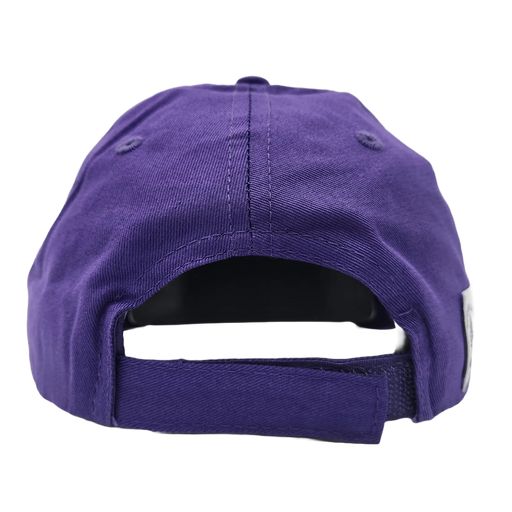 Youth Mauve Stripe 7 Twill Hat SHOP ROGUE WEAR Hats